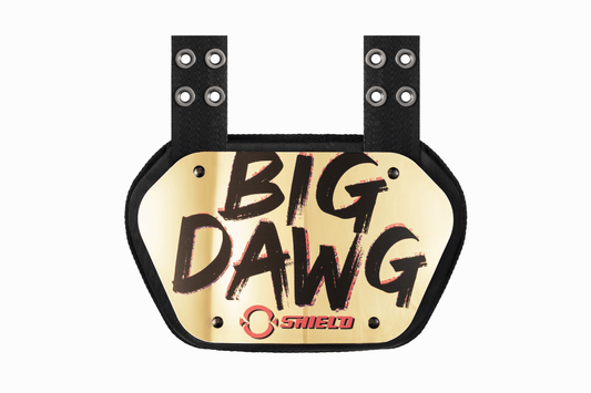 O Shield Big DAWG Golden Chrome Football Back Plate, Lower Back Pads for Football