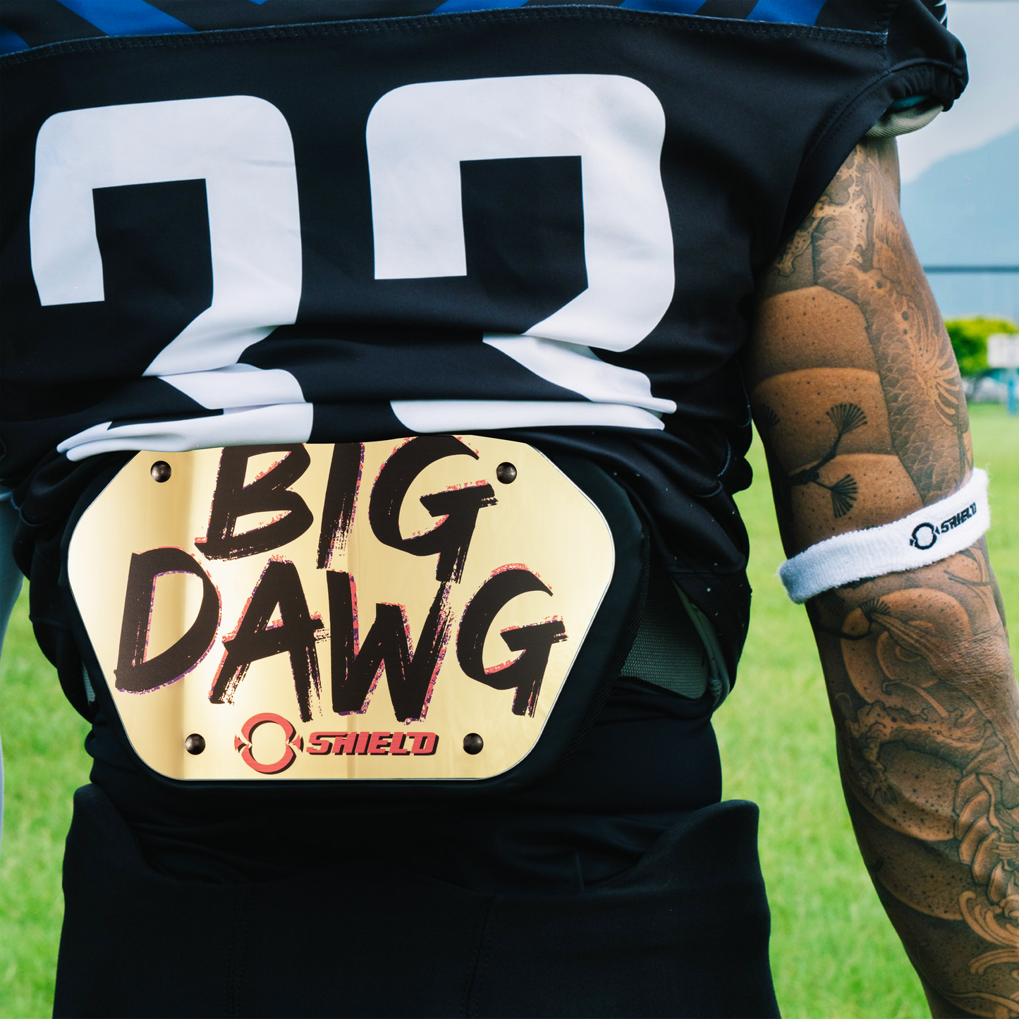 O Shield Big DAWG Golden Chrome Football Back Plate, Lower Back Pads for Football